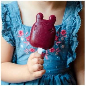 Paleta para helado ( 6 unidades)