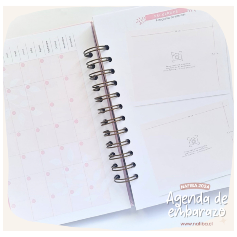 Agenda de embarazo - gestación