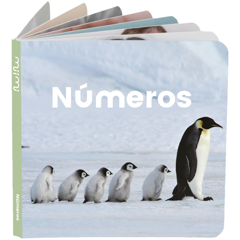 Libro Montessori Numeros